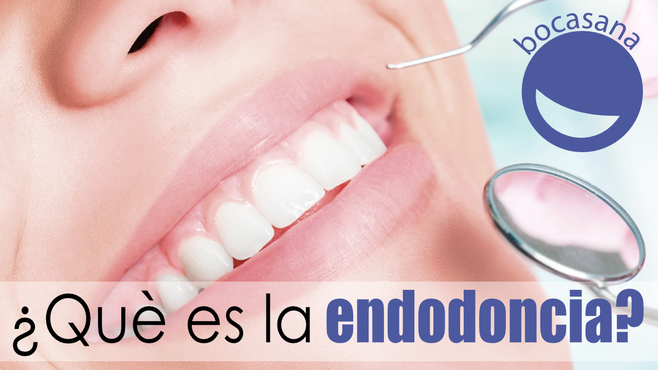 Endodoncia ¿que es?