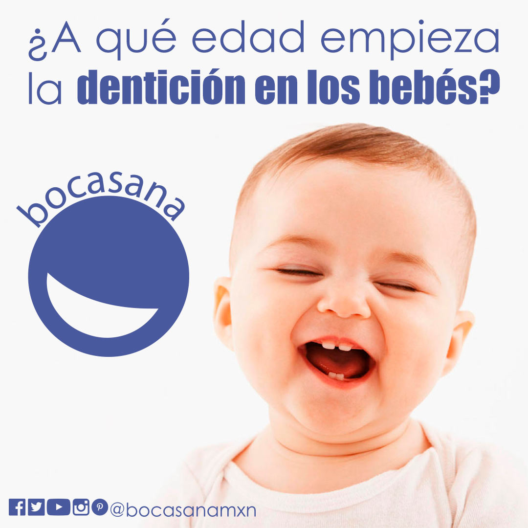 A que edad empieza la denticion en los bebes?